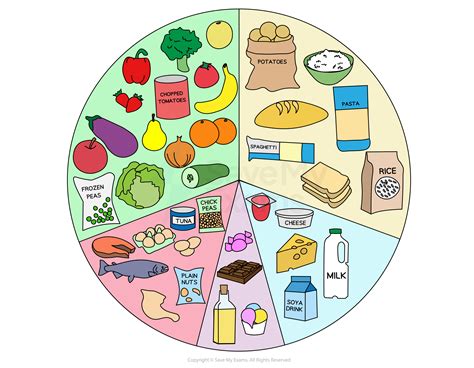 Normal Diet 的图像结果