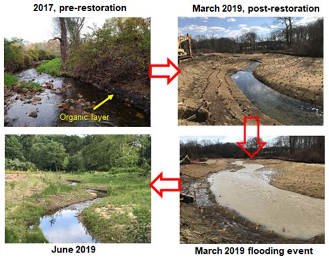 River 的图像结果