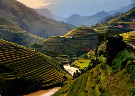 Image result for Vietnam Shell Exploding