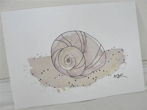 Image result for Snail Shell Drawing