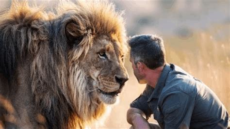 Lion Reunited With This Man Who Saved Him,What He Did Next Shocked ...