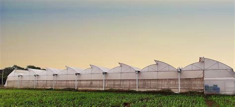 Polyhouse, Greenhouse & Hi-Tech Farming Experts – Agriplast Tech India