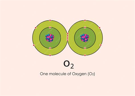 O2 Name 的图像结果