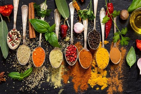 Ayurvedic Herbs for Pneumonia: Nature's Healing Touch – Bibo