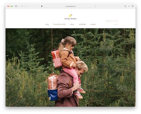 Image result for Wix Store