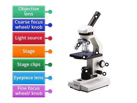Image result for Light Microscope Model
