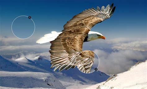 4K HDR TVs | 4K TV Full HD & Upscaling with X-Reality PRO | Sony India