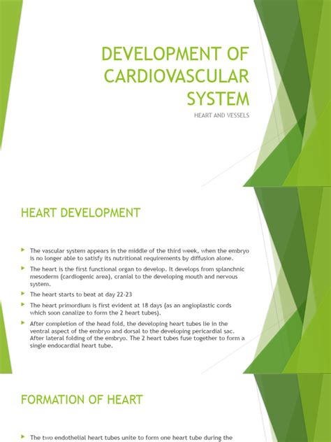 Image result for Heart Development PDF