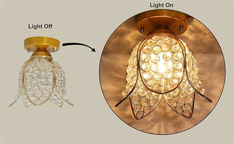 Buy Homesake Gold Metal Lotus Crystal Flush Mount Ceiling Light, for ...