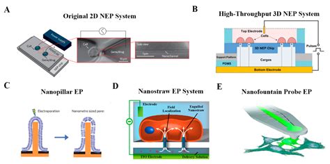 A Review on Electroporation-Based Intracellular Delivery