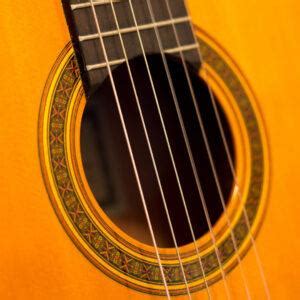 Image result for Stringed Instruments