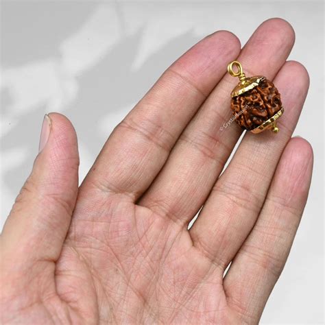 Original Ganesha Mukhi Rudraksha Pendant - Certified Rudraksha Beads