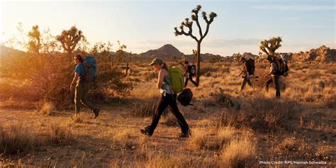 Barker Dam Sunset Hikes, Barker Dam Trailhead, Joshua Tree, 5 October ...