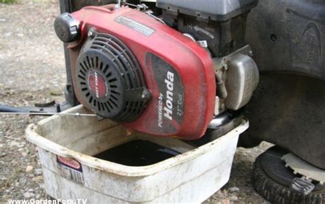 Tagliaerbe, cambiamo l'olio   GIARDINAGGIO MAGAZINE: La  