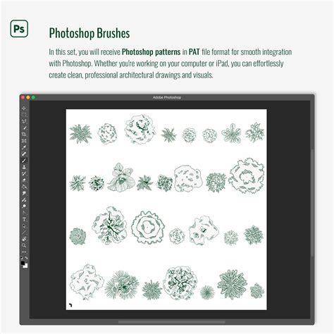 Procreate & Photoshop Inked Vegetation Plan View Brushset & Illustrati ...