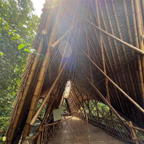 ORANGUTAN HAVEN (2025) All You Need to Know BEFORE You Go (with Photos ...