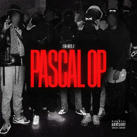 Image result for Pascal OP X Review