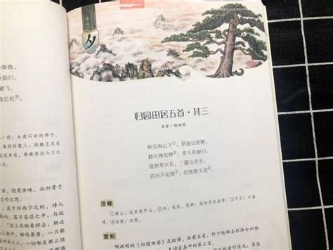 《中国诗词大会》经典古诗词集锦，值得收藏_飞花