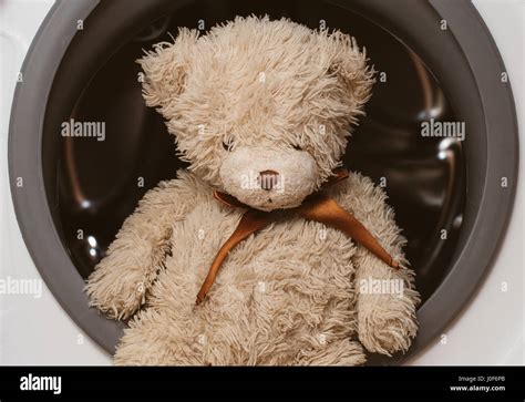 Image result for Bear Washing Machine