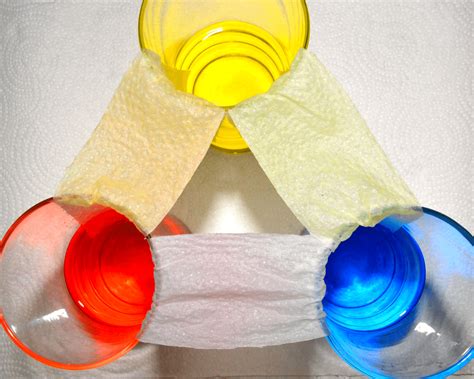 Science Projects for 5th Graders 的图像结果