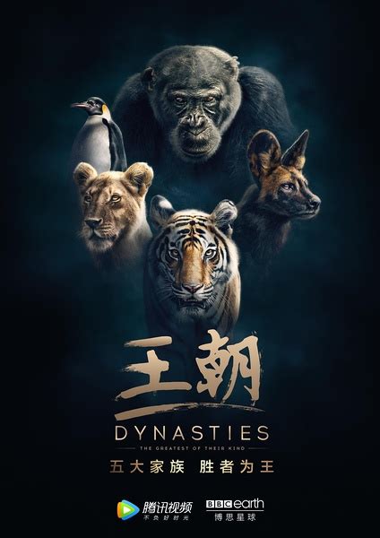 BBC自然纪录片王朝Dynasties全5集1080P超清无删减版-兜得慧