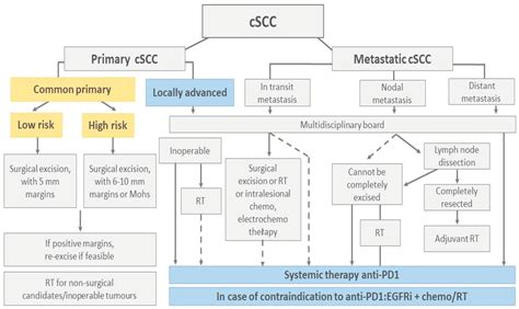 Advanced and Metastatic Non-Melanoma Skin Cancer: Epidemiology, Risk ...