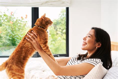 How long do cats live? Here’s what to expect.