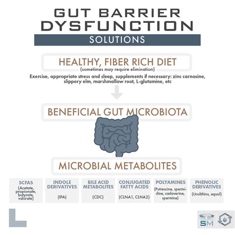Better Gut Health: What is Leaky Gut? - Sam Miller Science