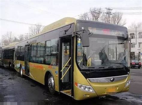 公交车(345路)-345图片-北京-大众点评网