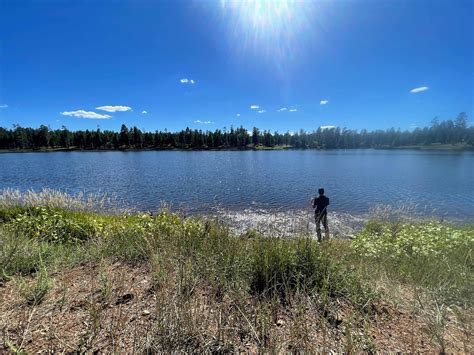 White Horse Lake Campground in Kaibab National Forest, Arizona: Reviews ...