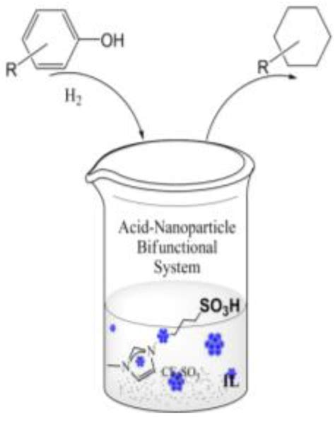 Towards Rational Design of Nanoparticle Catalysis in Ionic Liquids