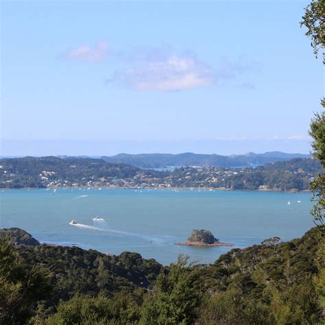 OPUA FOREST LOOKOUT TRACK (2026) All You Need to Know BEFORE You Go ...