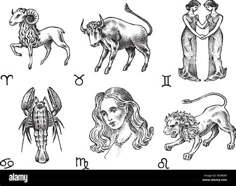 What Animal Is A Gemini at Caitlin Kelley blog