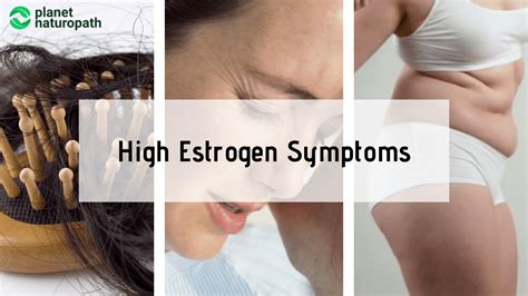 The Causes Of High Estrogen – And How To Fix It - Planet Naturopath