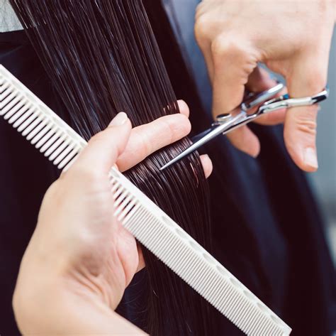 The 11 Best Hair Cutting Scissors to Shop in 2024