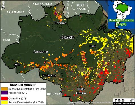 Amazon Rainforest Over Time on a Map: A Visual Timeline