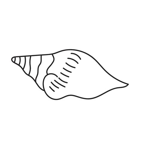 Image result for Shell Shape Outline