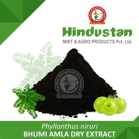 Bhumi Amla Dry Extract Manufacturer Exporter India USA