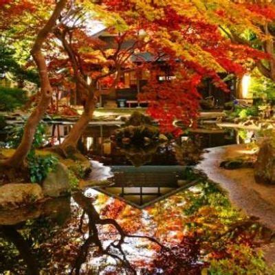 Image result for Gradient Field Python