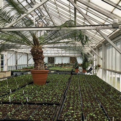 Greenhouse Horticultural Tour, 86 Cañada Road, Woodside, CA, United ...
