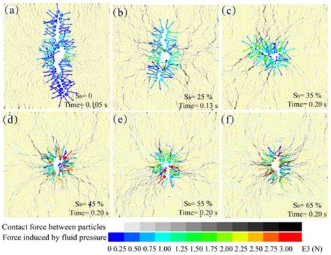 Numerical Investigation on Mesoscale Evolution of Hydraulic Fractures ...