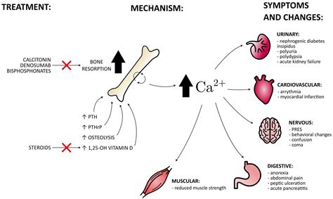 Mechanism Of Hypercalcemia In Sarcoidosis