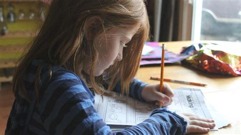 Image result for Third Grade Science Fair Projects