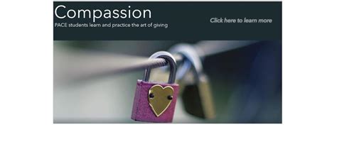 Image result for Pace Education Program