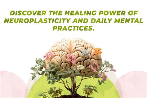 Neuroplasticity & OPSAN Homecare: Better Homecare for Dementia Patients
