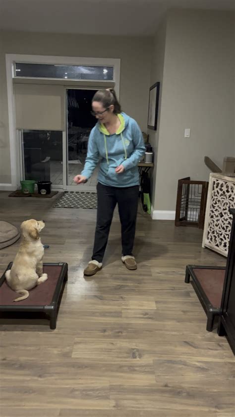 Image result for Ruby's Training