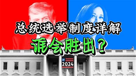 选举 的图像结果