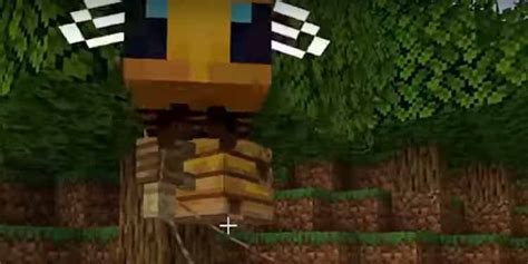 Image result for Bees Minecraft Tutorial