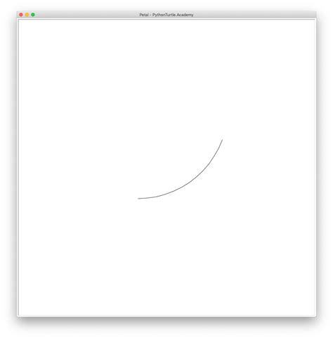 Image result for Python Turtle Flower