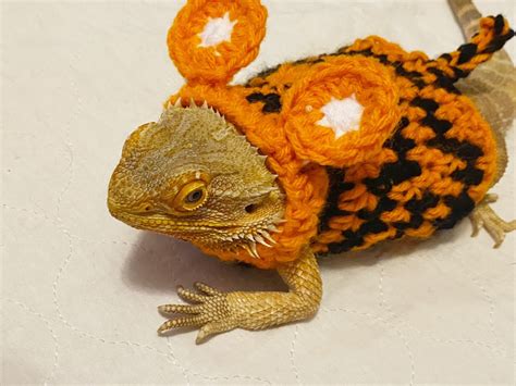 Crocheted Adult Tigger Bearded Dragon Costume Bearded Dragon Costume ...